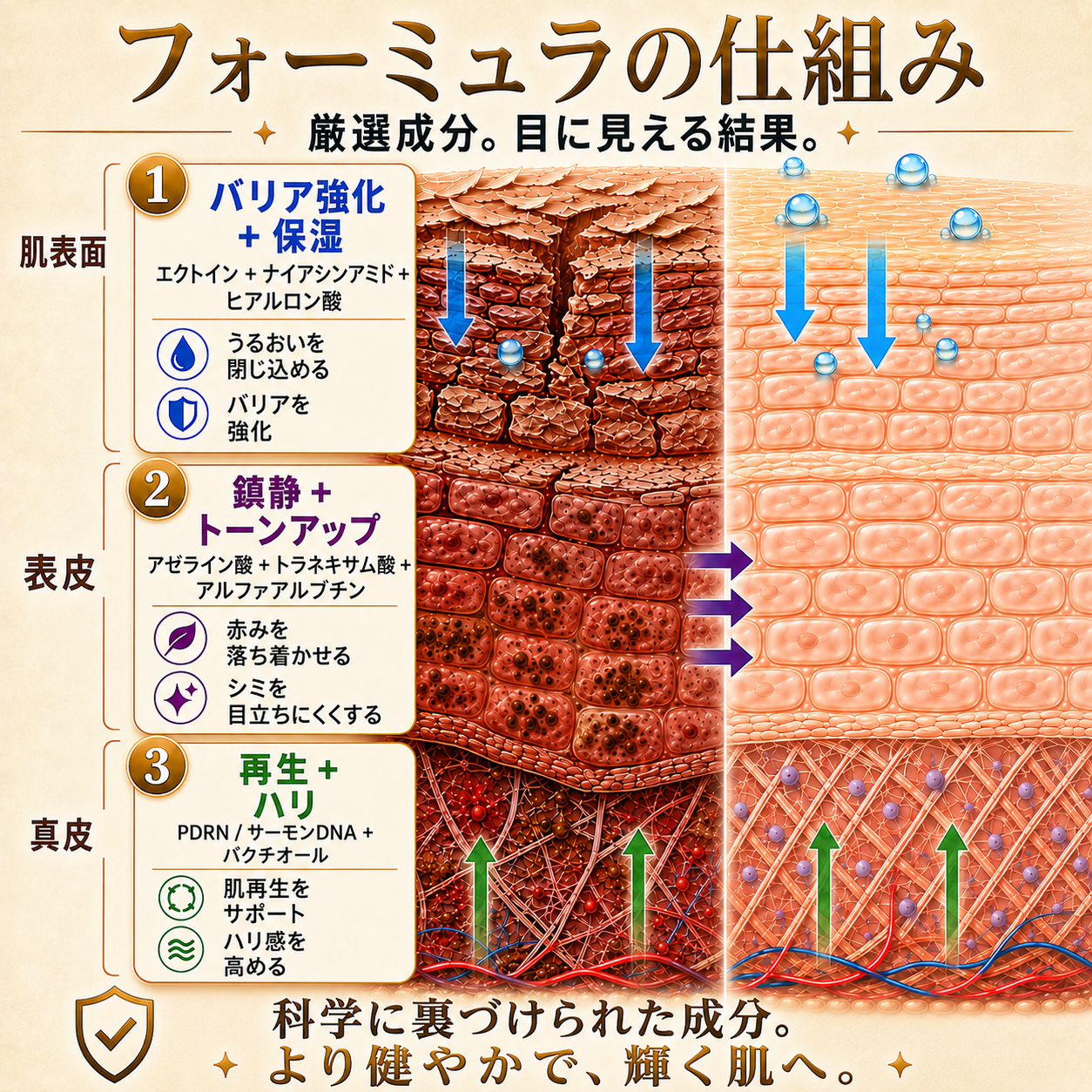 🔥 PLTOWE® マルチスキンリペアクリーム  1本で、肌荒れ・乾燥・エイジングサイン・くすみ・肌ダメージをトータルケア。